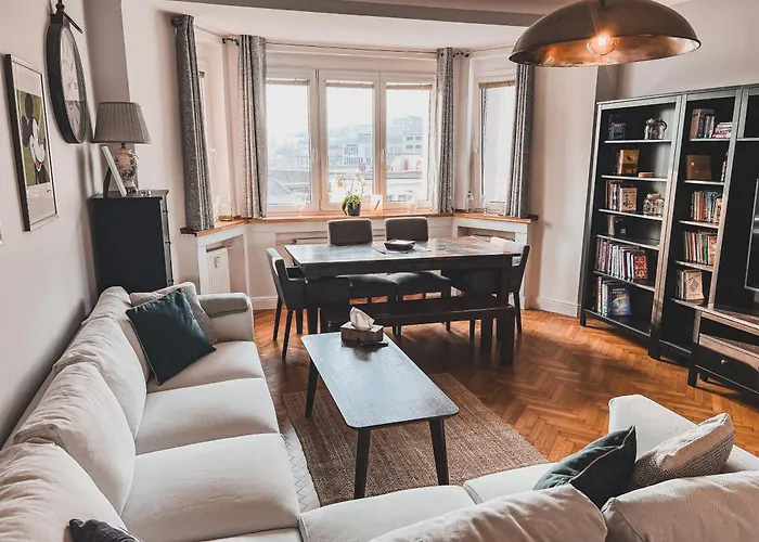 Usti Downtown Horovka Apartment